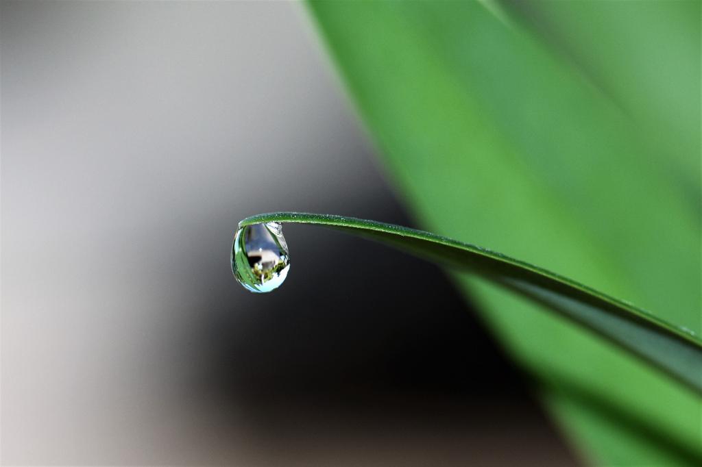 守るべき水と緑
