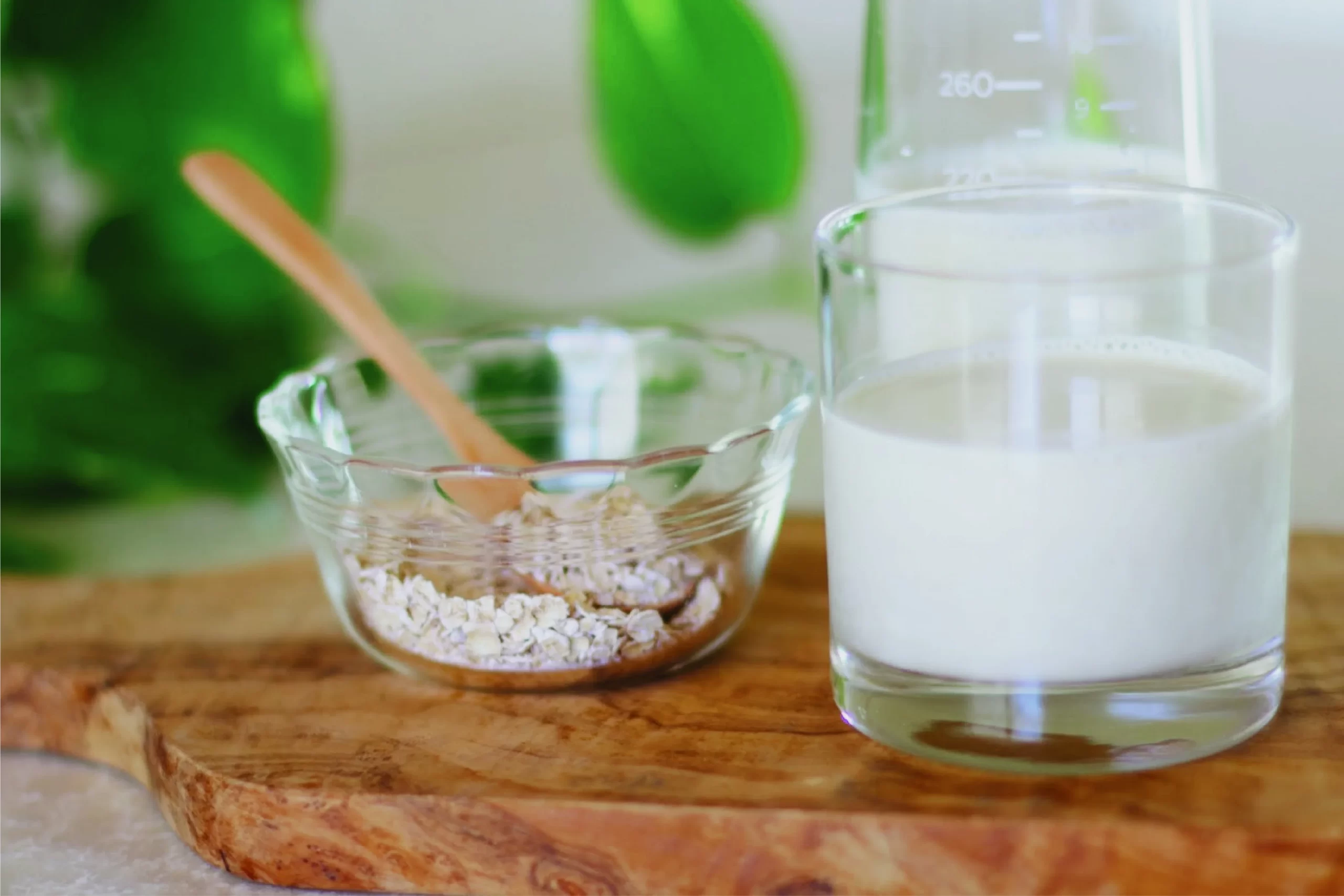 乳糖不耐症って？乳製品アレルギーとの違いや特徴を知ろう|プラントベースミルクを選択肢のひとつにしてみよう！