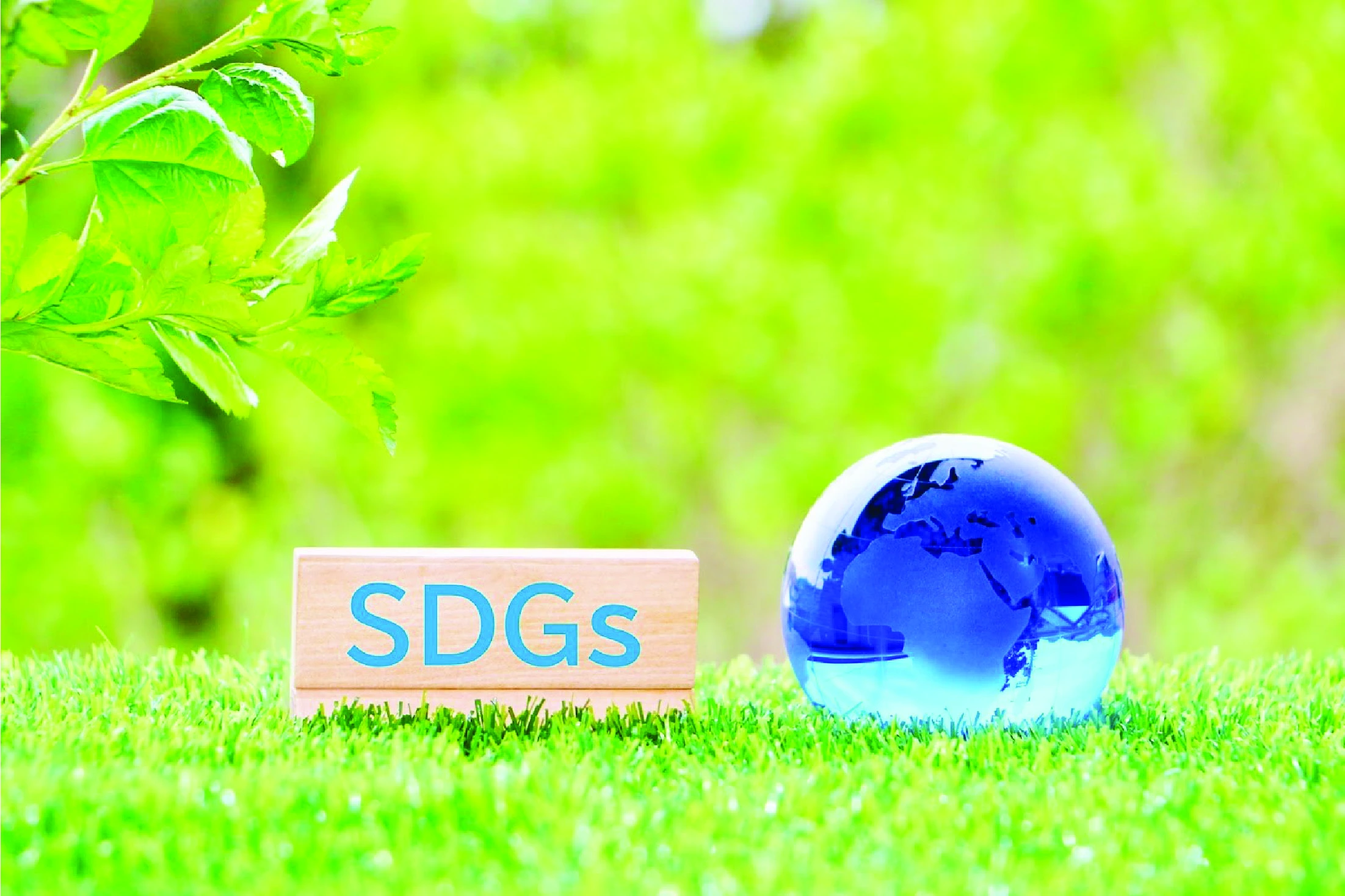 SDGs目標12：つくる責任 つかう責任／食品ロスの現状を知ろう|SDGs目標12「つくる責任つかう責任」とは？　