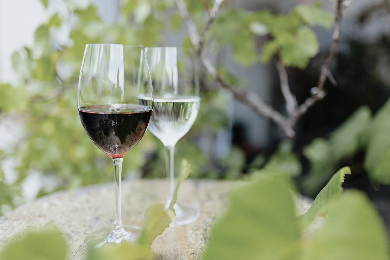 5-気候変動によるワインへの影響｜栽培品種や味の変化とは？
