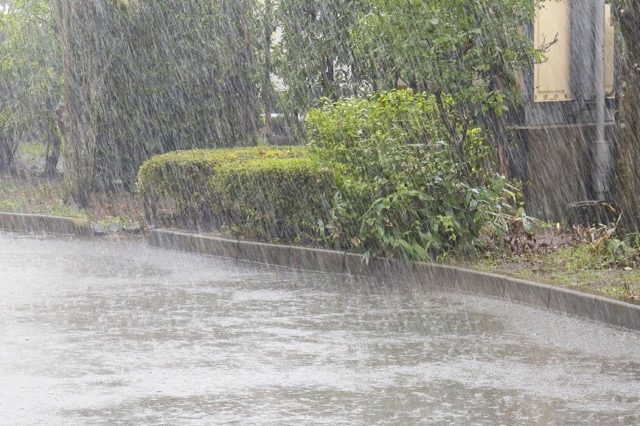 気候変動に絡み合う「酸性雨」が降る仕組み｜自然や人への影響