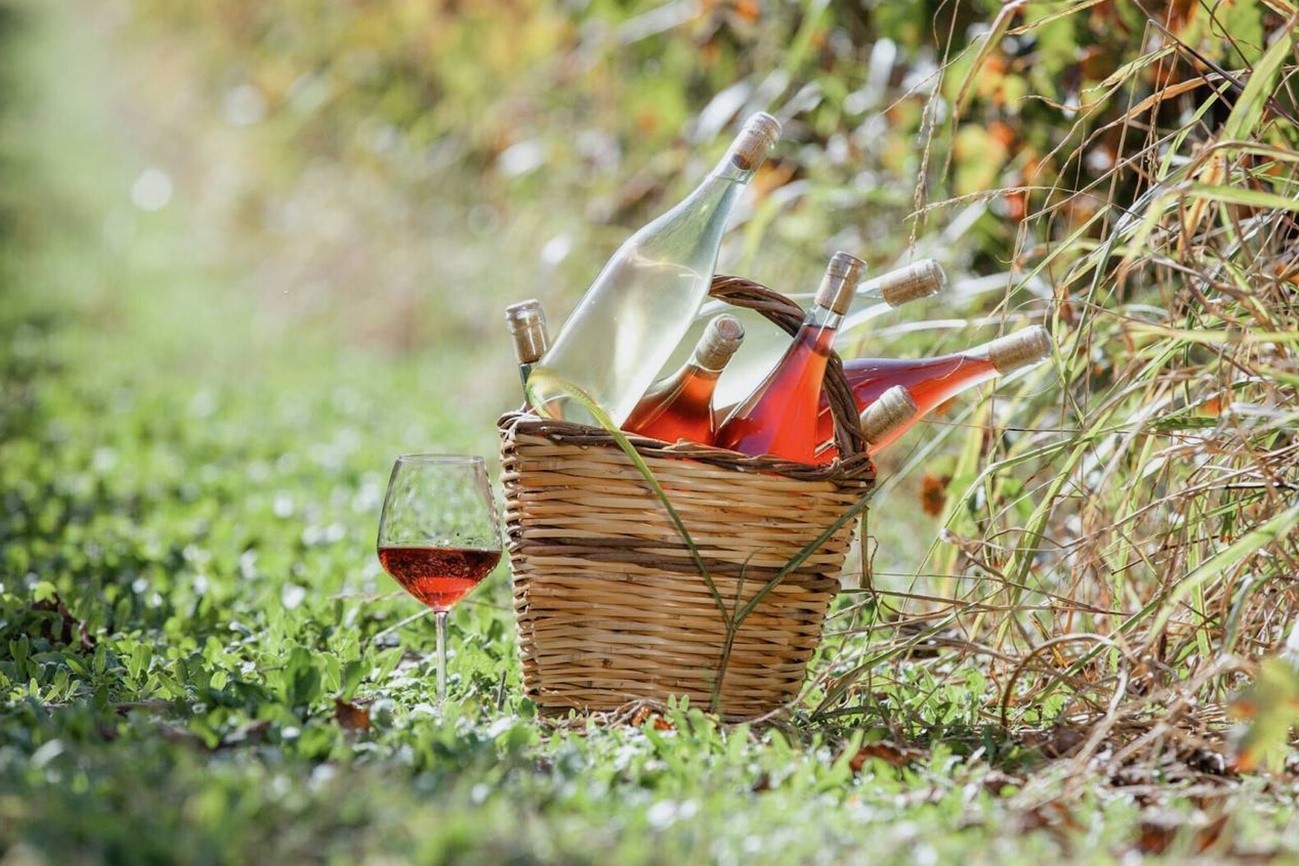 2-サステナブルなお酒とは？特徴や種類をチェックしてみよう