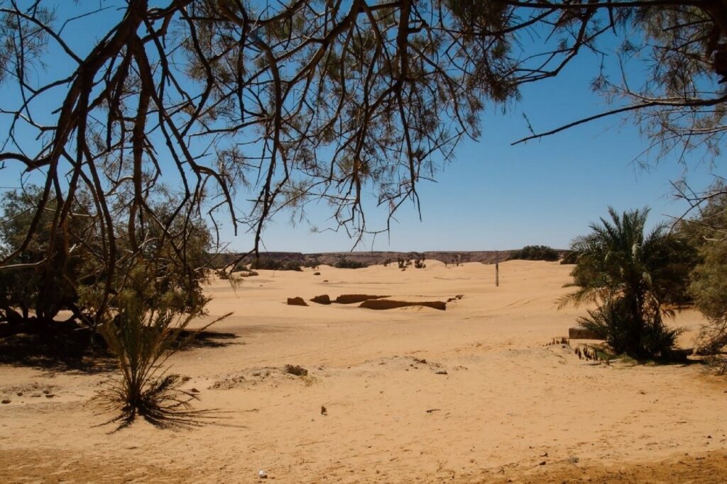 気候変動による砂漠化とは？原因や影響、対策を見てみよう