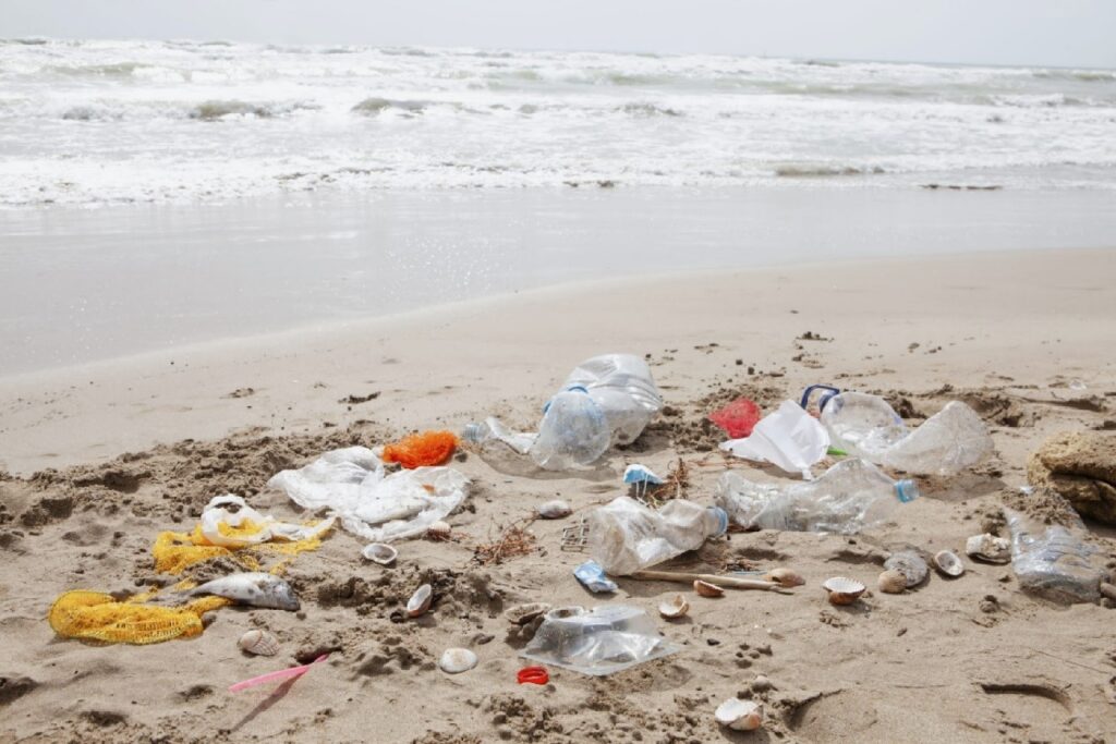 気候変動に関わるプラスチックのポイ捨て｜原因と対策を考えよう