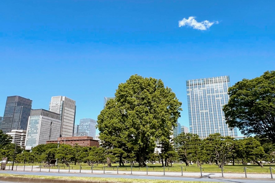 Urban Farmingが切り開く未来の食料生産｜都市型農業の可能性