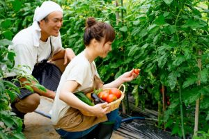 2-Urban Farmingが切り開く未来の食料生産｜都市型農業の可能性.jpg