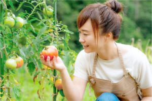 3-Urban Farmingでストレス解消！心身の健康に与える効果とは.jpg