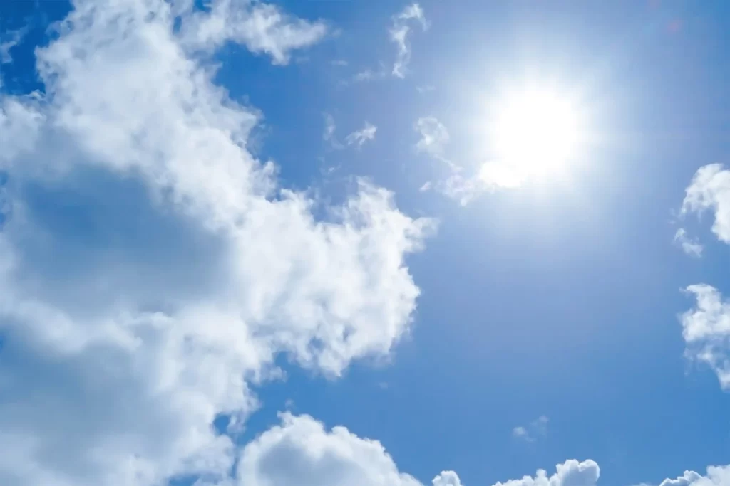 夏バテ予防!健康的な身体づくりにプラントベースフードで栄養補給